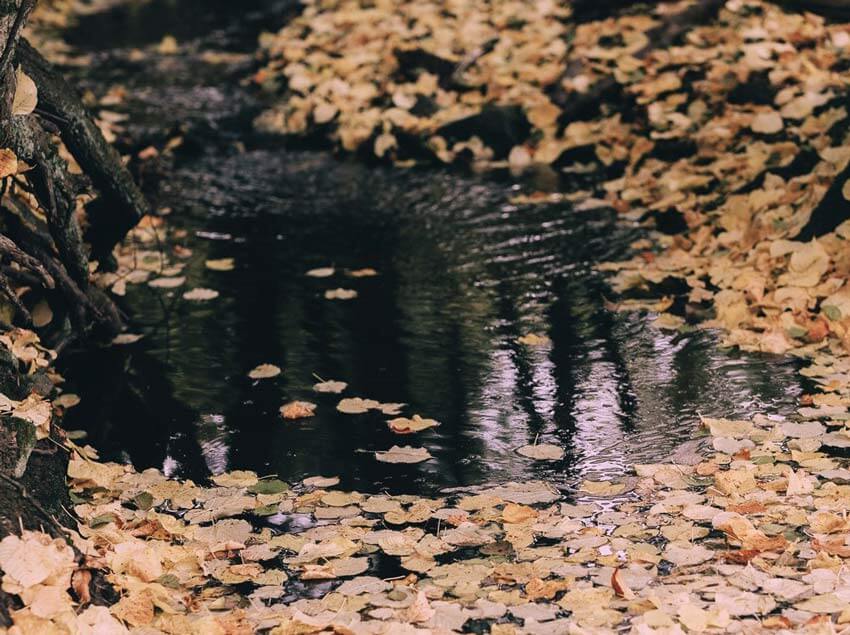 trauerbegleitung-kassel8-m Trauerbegleitung Kassel